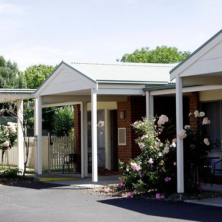 ג'ילונג Rose Garden Motel מראה חיצוני תמונה