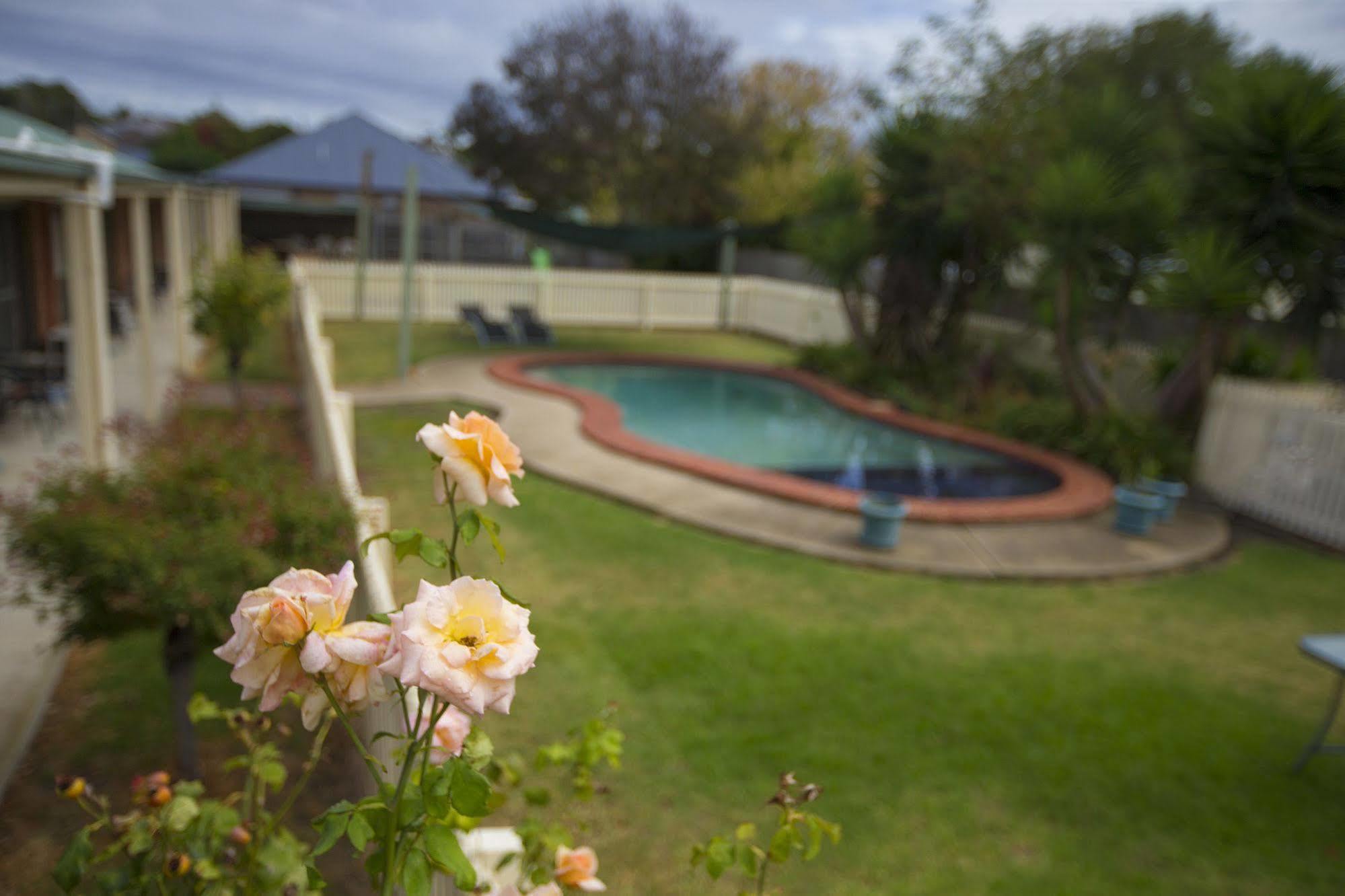 ג'ילונג Rose Garden Motel מראה חיצוני תמונה